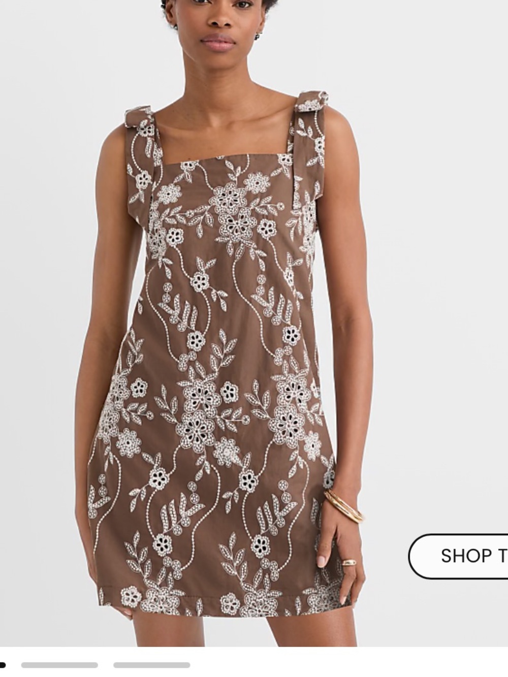 Loft Brown Dress